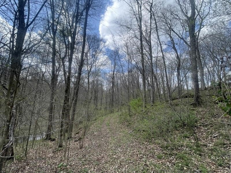 Picture 17