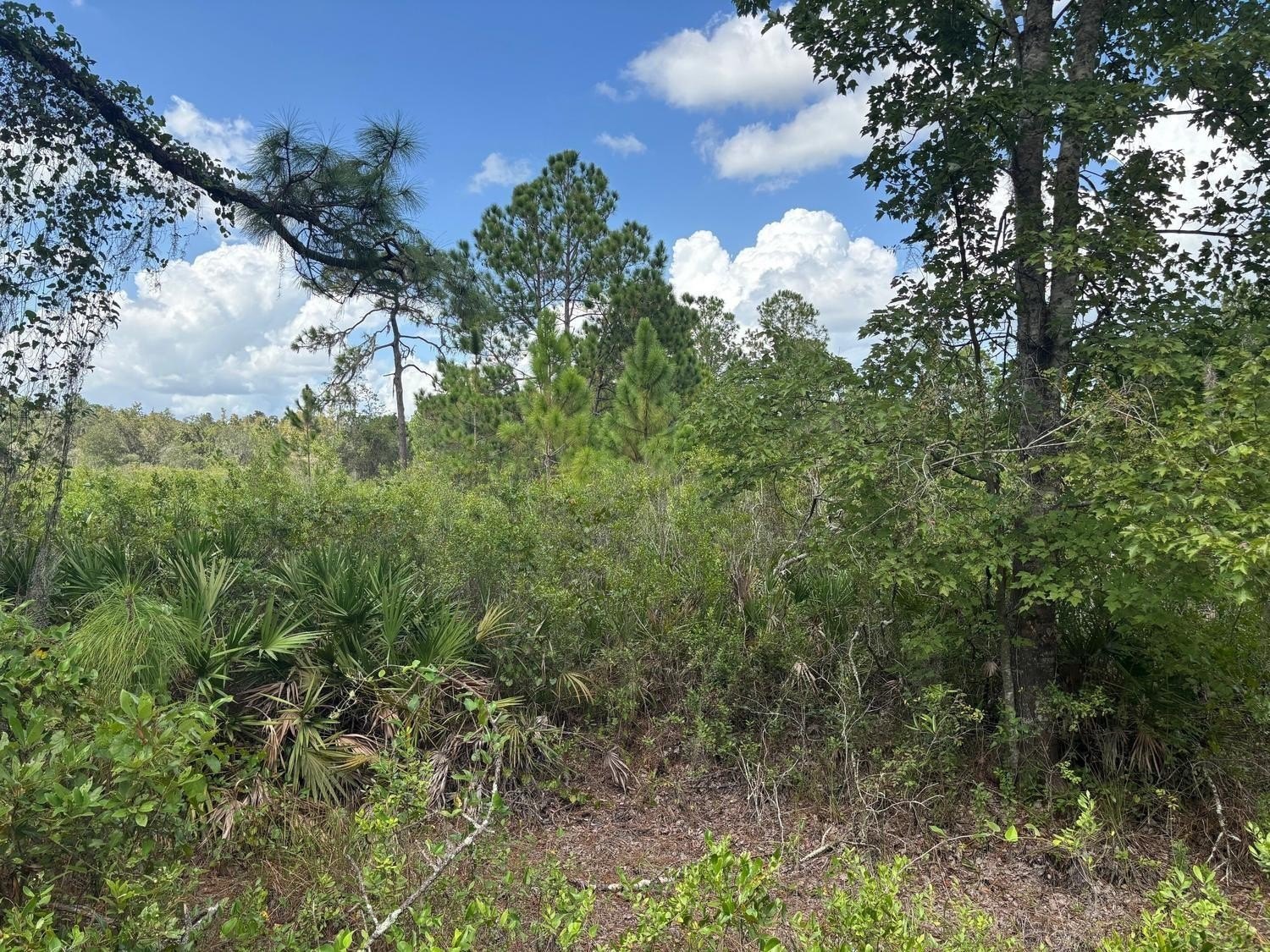 Rancho Bonito Lot Land