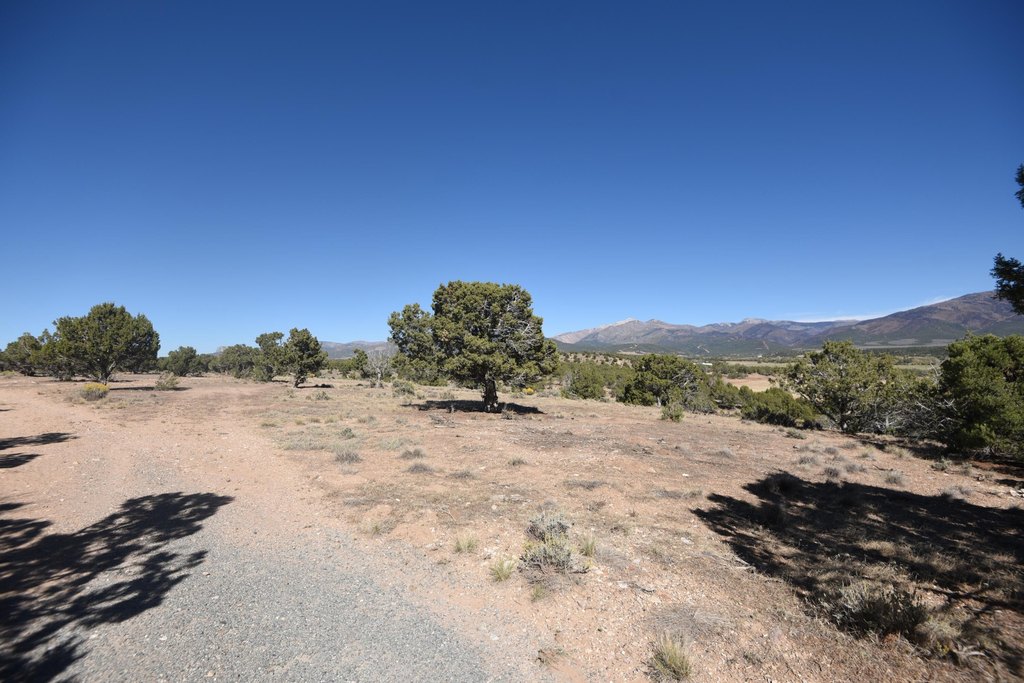 Picture 20