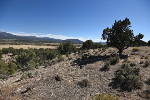 Land, Beaver, UT