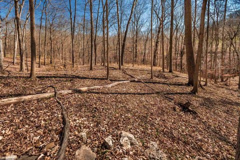 Residential Land in Tranquil Setting