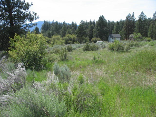 Chiloquin Land with Mountain Views