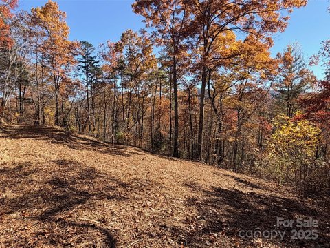 4.48 Acre Wooded Land