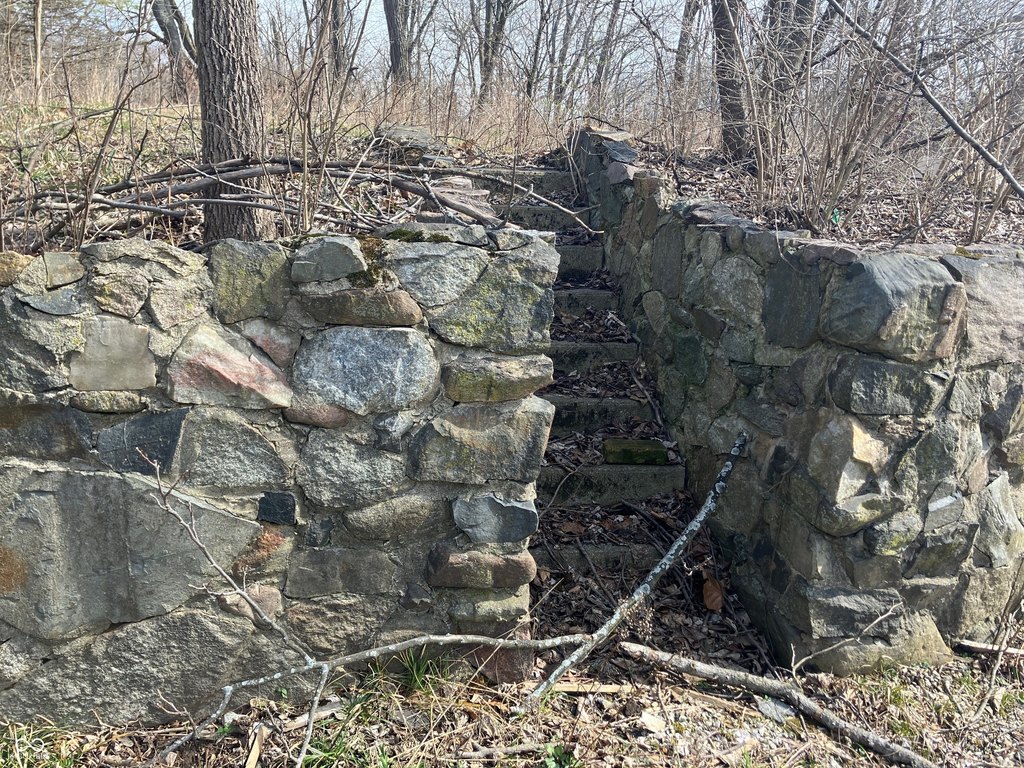 Picture 13