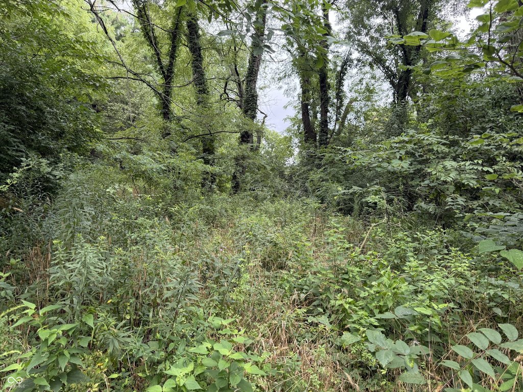 Picture 15