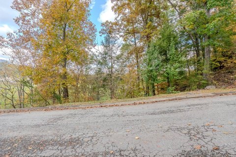 Wooded Mountain Resort Land