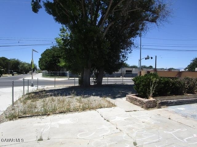Picture 3