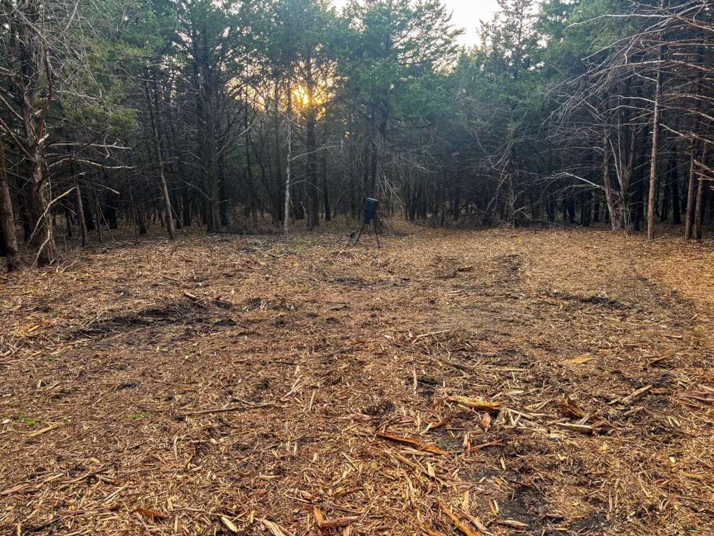 Picture 25