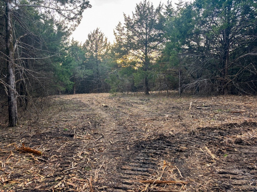 Picture 24