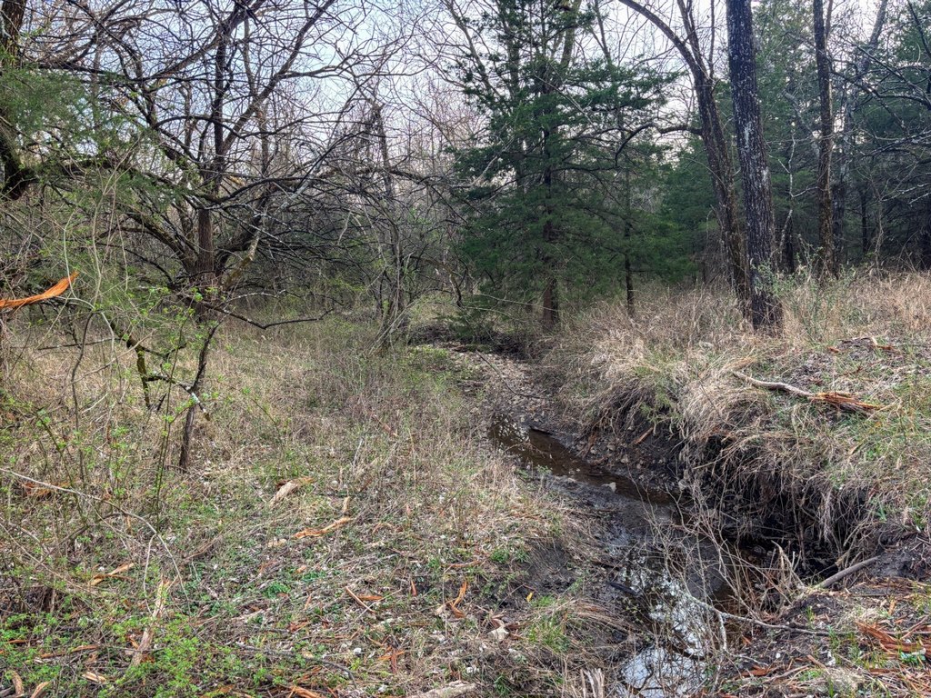 Picture 23