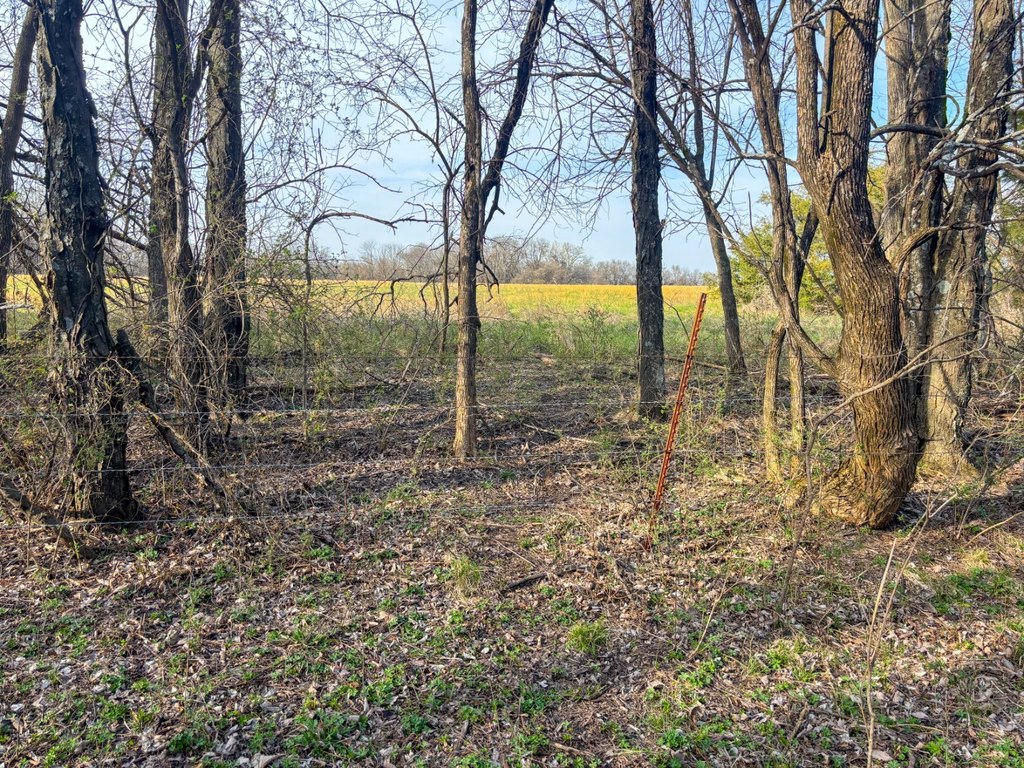 Picture 36