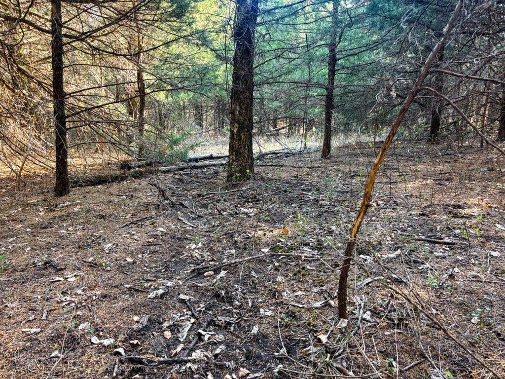Picture 41