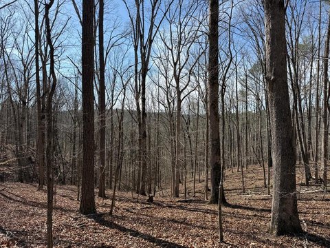 Mountainous Acreage with Buildable Ridges