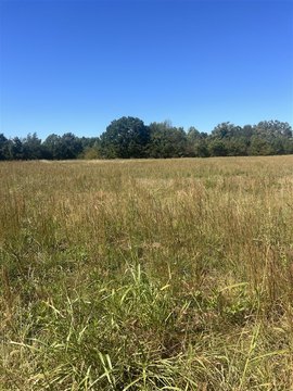 Lots and Land, Adolphus, KY