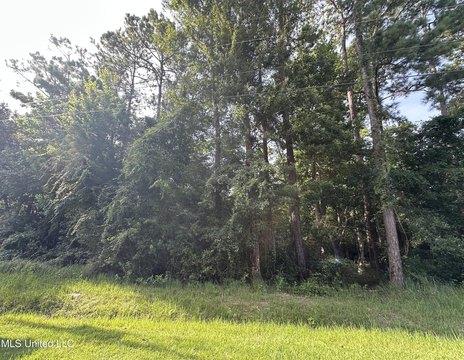 Diamondhead Wooded Building Lots