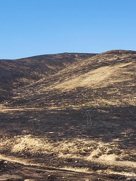 Bakersfield Land Along Alfred Harrell