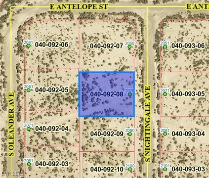 Vacant Land in Pahrump, NV