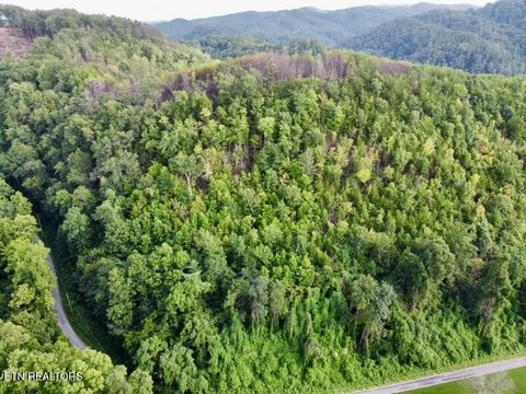 Tellico Plains Land for Sale