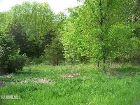 Residential Lot in Galena Territory