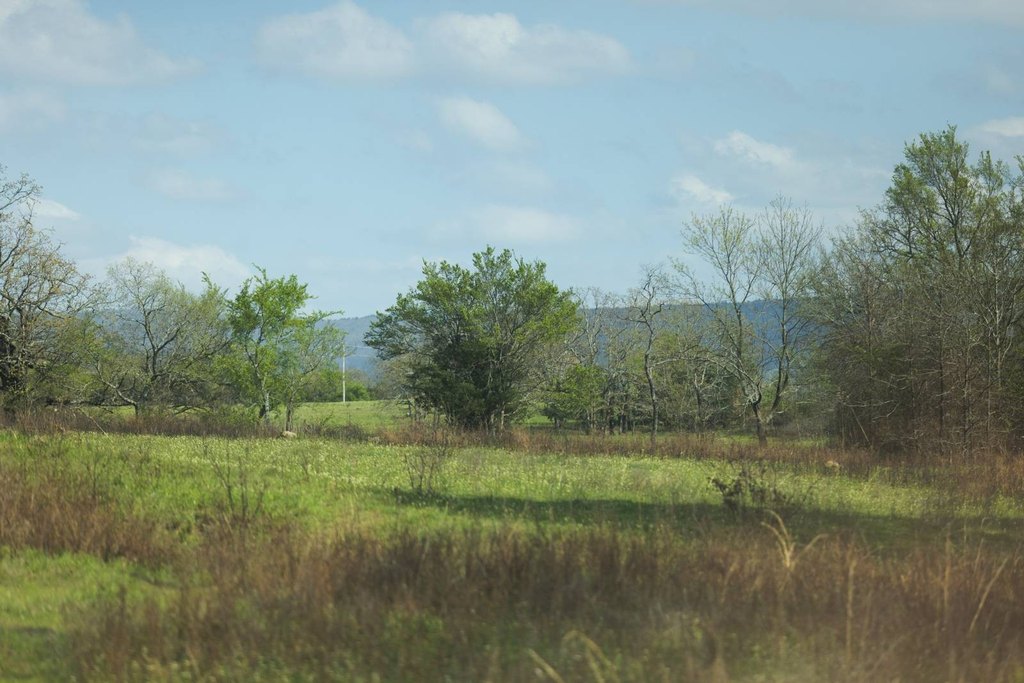 Picture 11