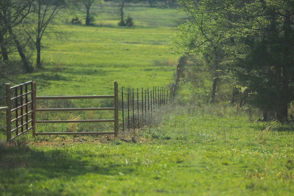 Picture 30
