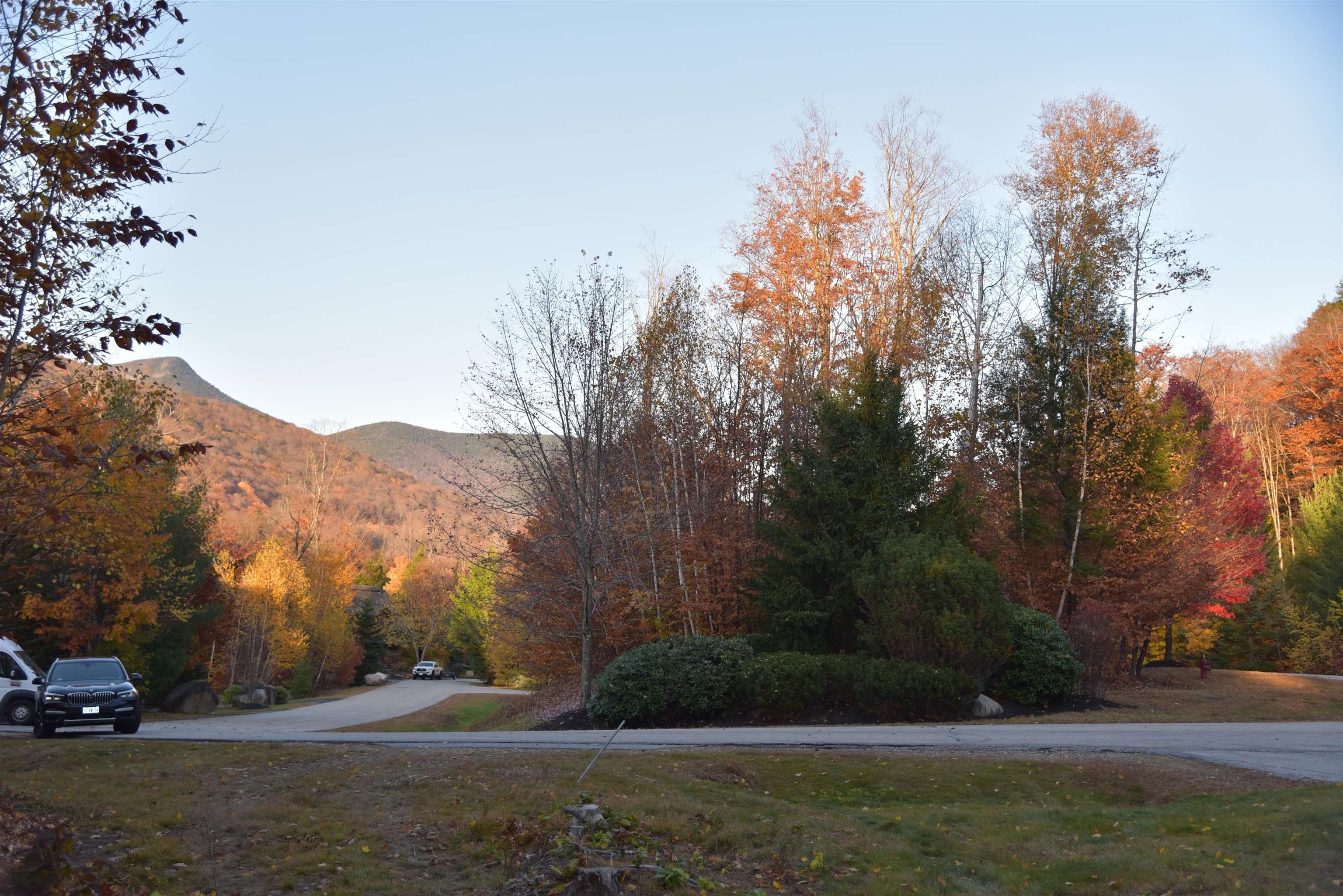 Ski In/Ski Out Dream Lot