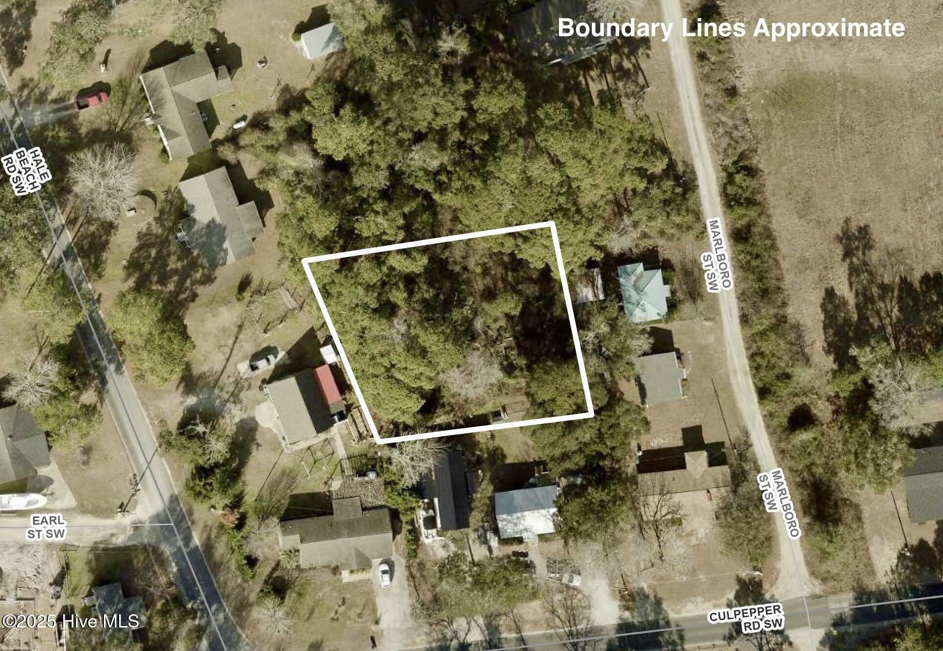 Wooded Lot Near Ocean Isle