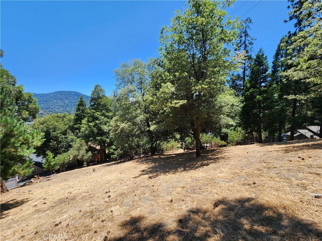 Picture 9