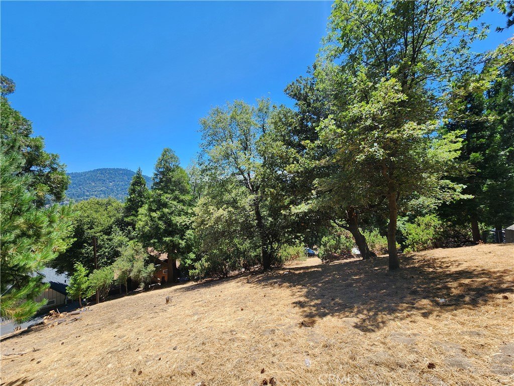Picture 10
