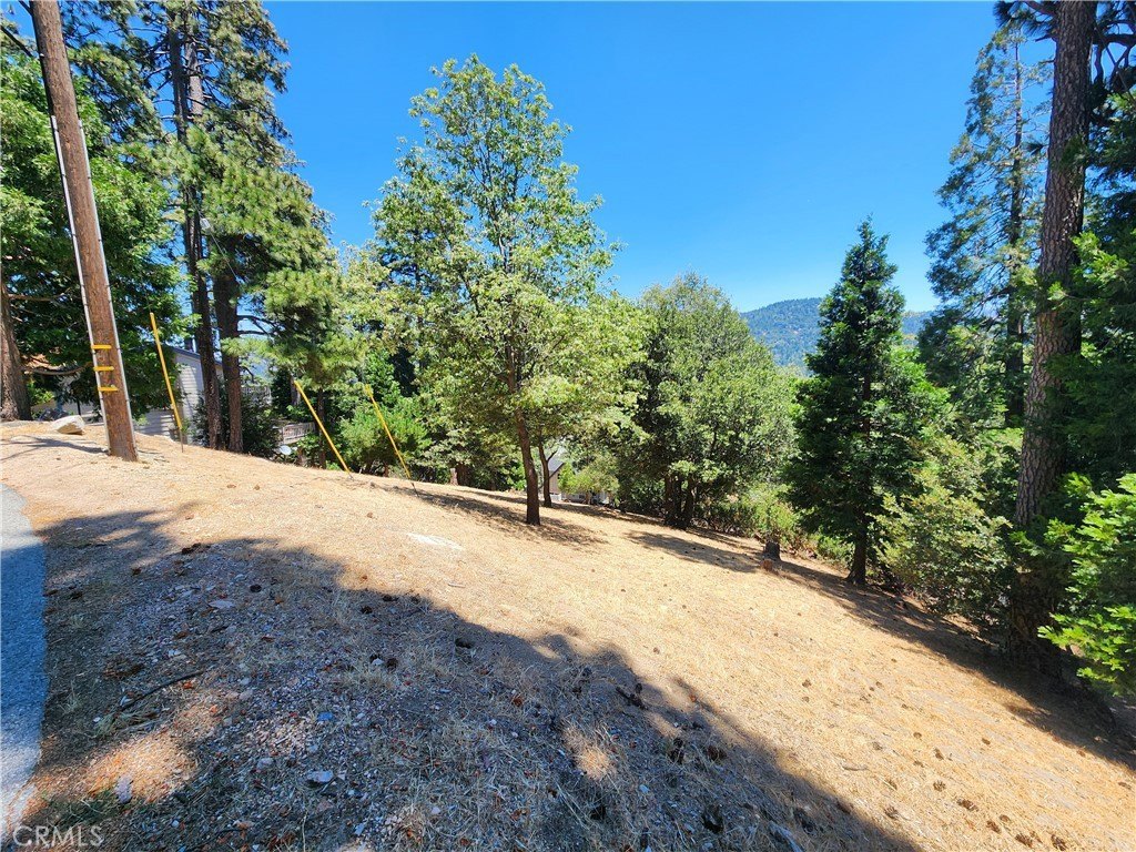 Picture 14