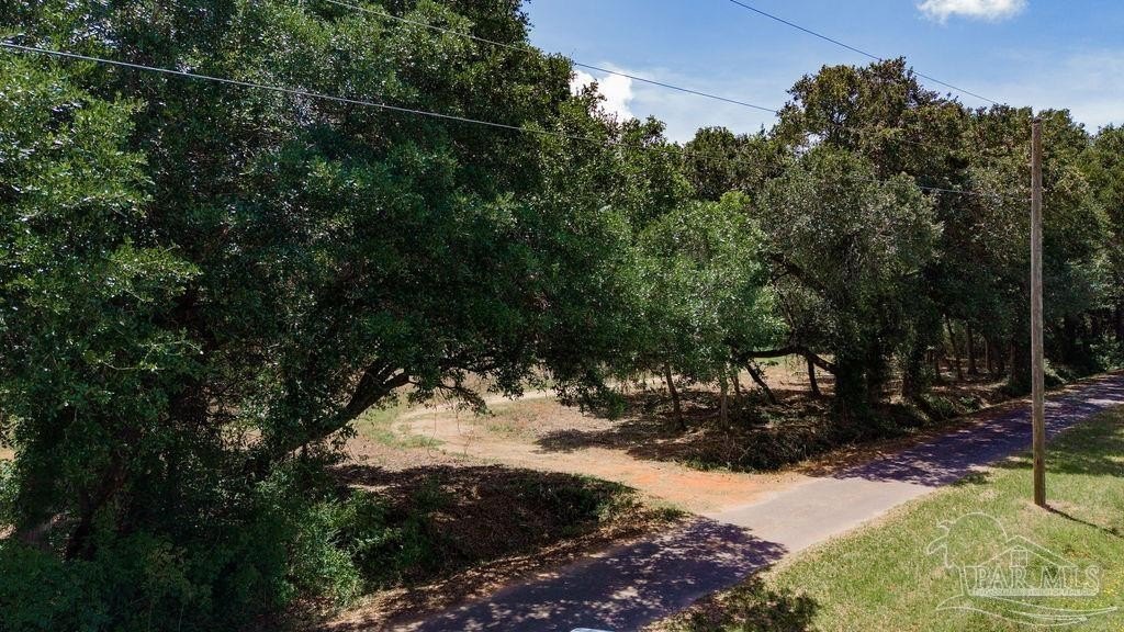 Picture 10