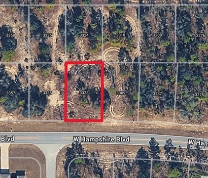 Land, CITRUS SPRINGS, FL