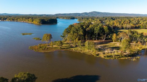 Waterfront Lots on Weiss Lake