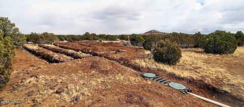 9.3 Acres in Show Low