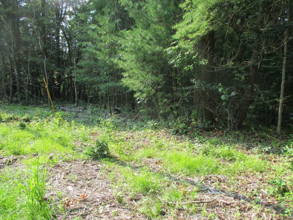 Picture 8