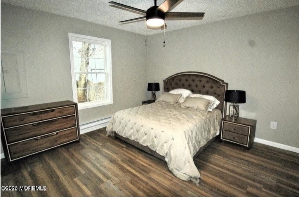 Picture 41