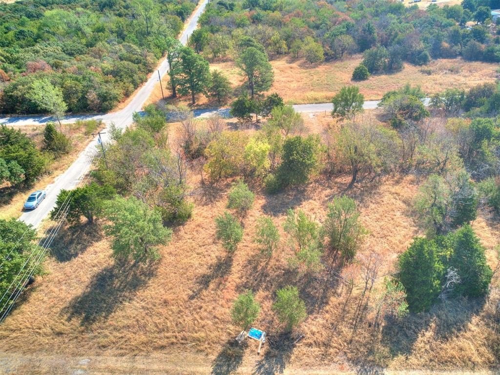 Picture 11