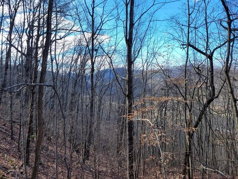 Equestrian Community Vacant Lot
