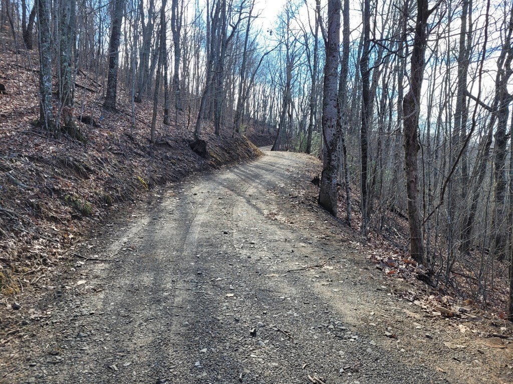 Picture 4