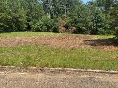 Commercial Lot Near I-55