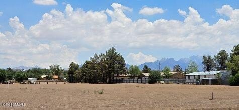 Picture 10