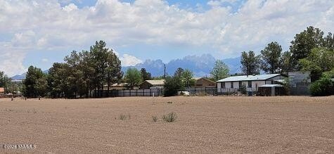 Picture 11