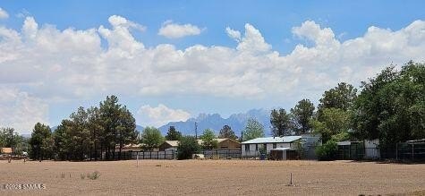 Picture 8