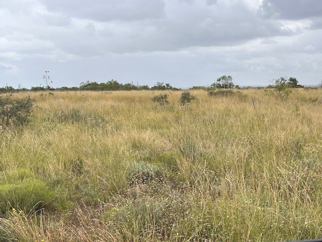 Picture 9