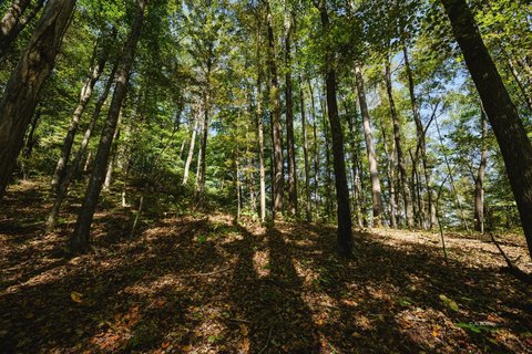Vacant Land, Cheshire, OH