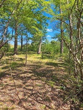 Land, Grand Saline, TX