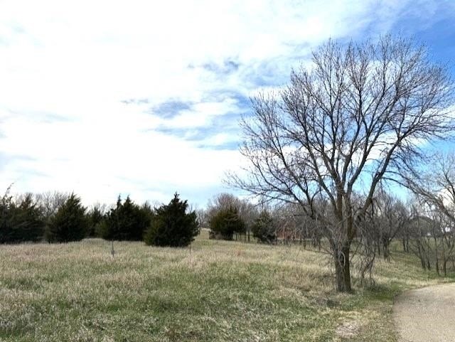 Picture 7