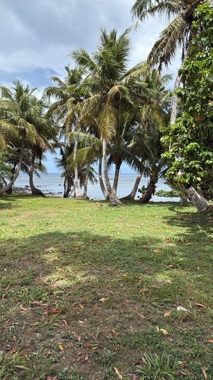 Picture 8