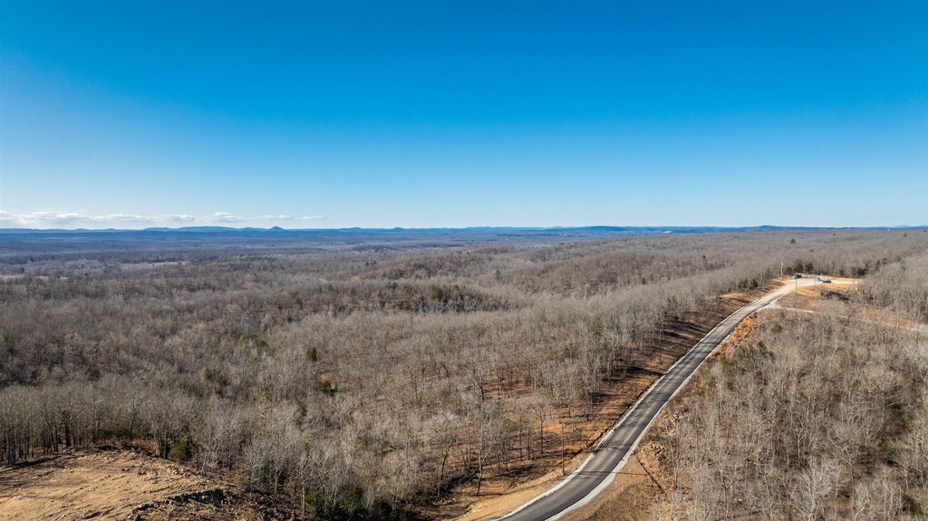 Picture 24