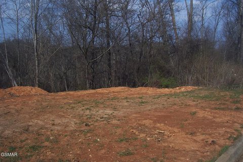 Acre Lot in Historic Hills